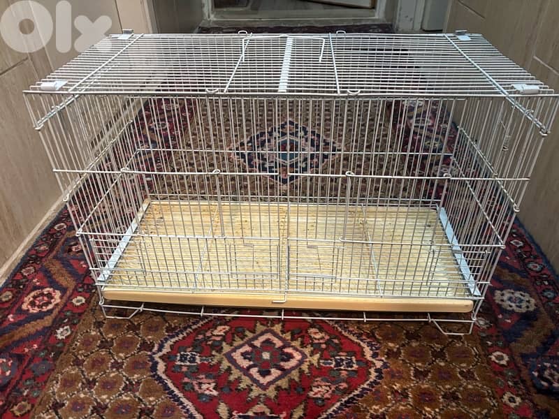 birds cage 0