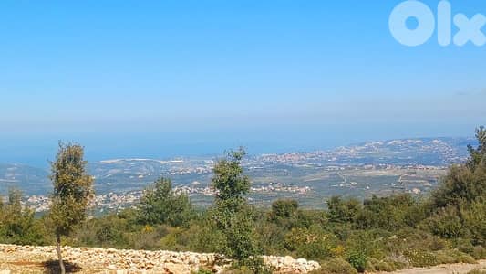lands for sale in Dayrbella أرض للبيع في ديربللا