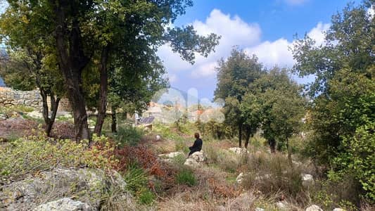 lands for sale in Douma أرض رائعة للبيع في دوما