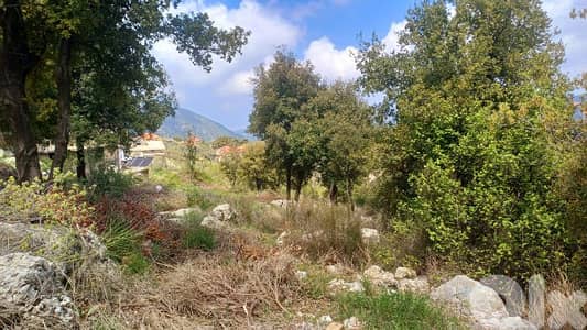 lands for sale in Douma أرض رائعة للبيع في دوما