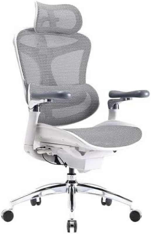 sihoo c300 ergonomic chair 1