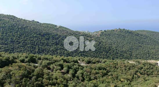 Apartment 2 BR | Sale In Breij | شقة للبيع | PLS 26505/B2