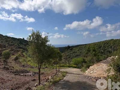 Land For Sale In Chikhane Jbeil | Open View | أرض للبيع | PLS 26508
