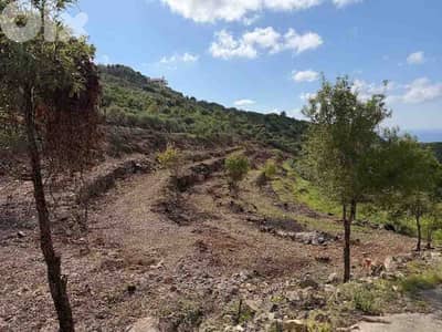 Land For Sale In Chikhane Jbeil | Open View | أرض للبيع | PLS 26508