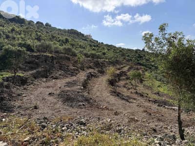 Land For Sale In Chikhane Jbeil | Open View | أرض للبيع | PLS 26508