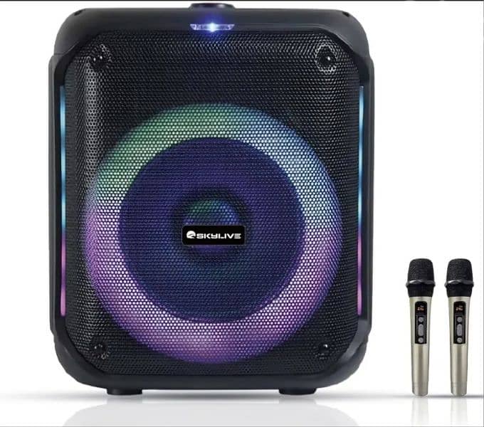 IKARAOKE box professional  system,  40W Output, 12 inch woofe 1