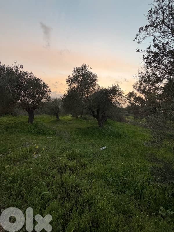 land for sale in bterram al koura 0