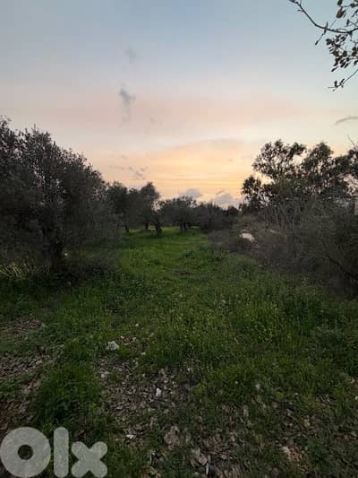 land for sale in bterram al koura