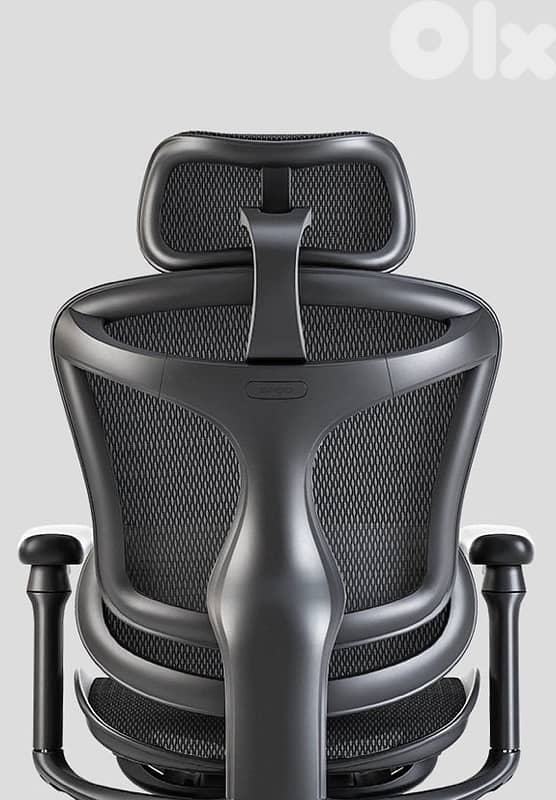 Sihoo C300 Ergonomic Office Chair with Advanced Back Support 0