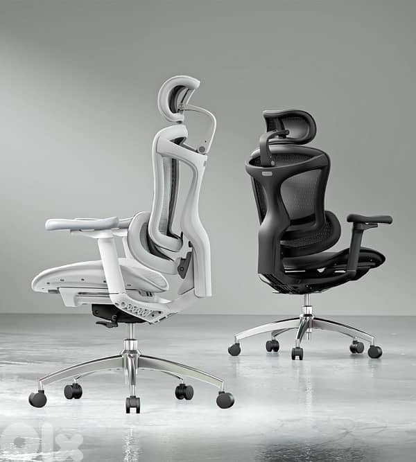 Sihoo C300 Ergonomic Office Chair with Advanced Back Support 1
