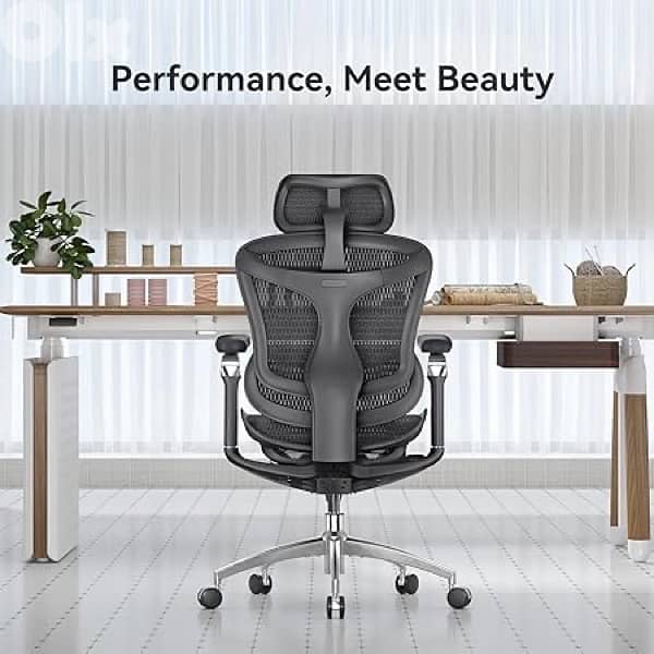 Sihoo C300 Ergonomic Office Chair with Advanced Back Support 2