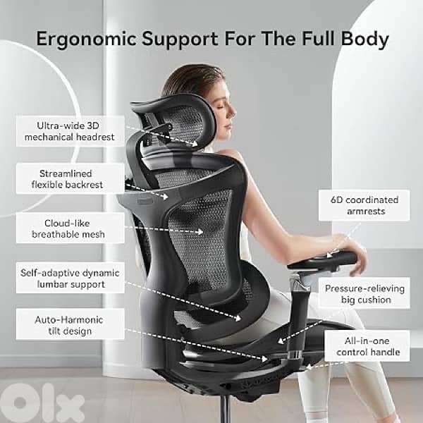 Sihoo C300 Ergonomic Office Chair with Advanced Back Support 3