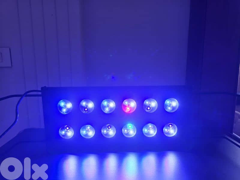 aquarium saltwater  led light 0