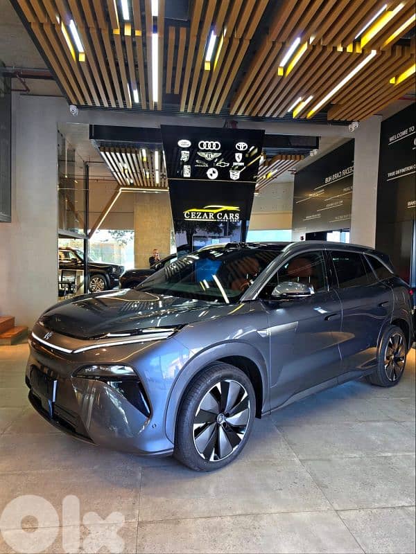 BYD Tang L 2025 0