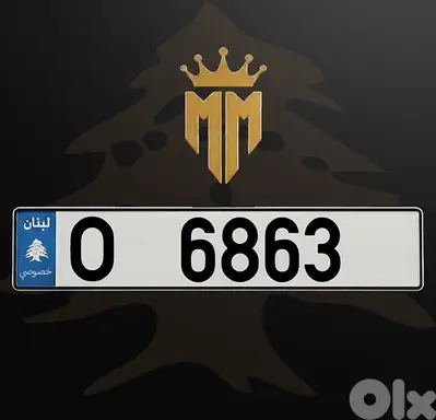 O 6863