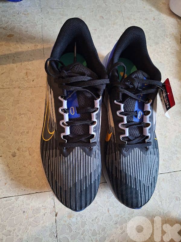 Nike winflo 9.0 1