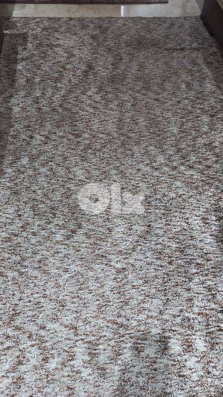 carpet 0