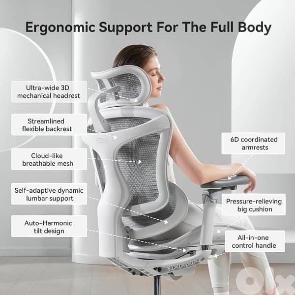 SIHOO chair 6D armrests 3