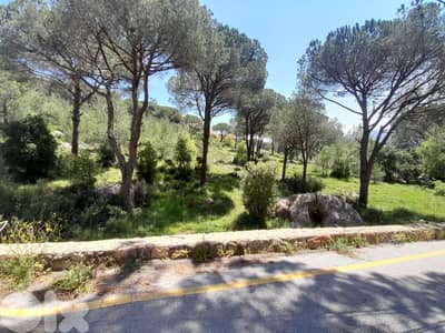 أرض للبيع في عيون برمانا Land for sale in Ouyoun Broummana