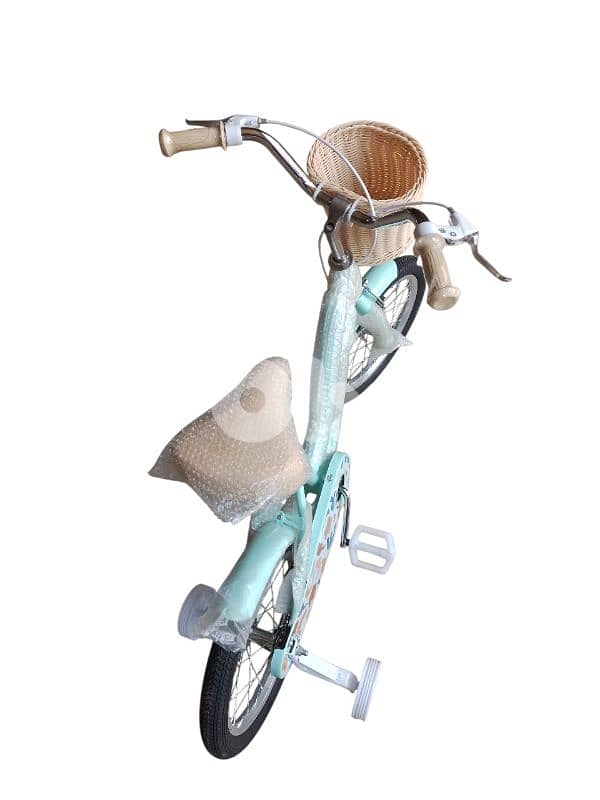 16 inch bicycle 1