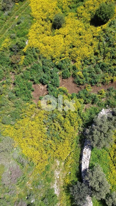 MF1011- Land for Sale in Ebrin – Batroun /أرض للبيع في عبرين – البترون