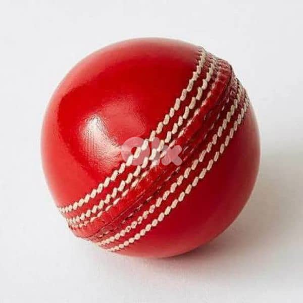 Cricket Ball 0