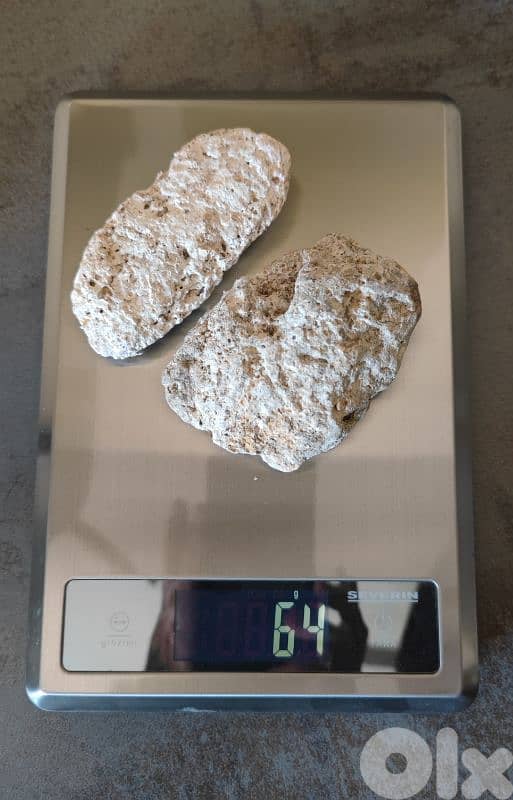 ambergris عنبر حوت 0