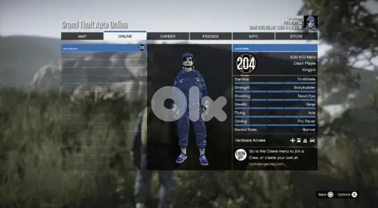 High-Level Gaming Profile