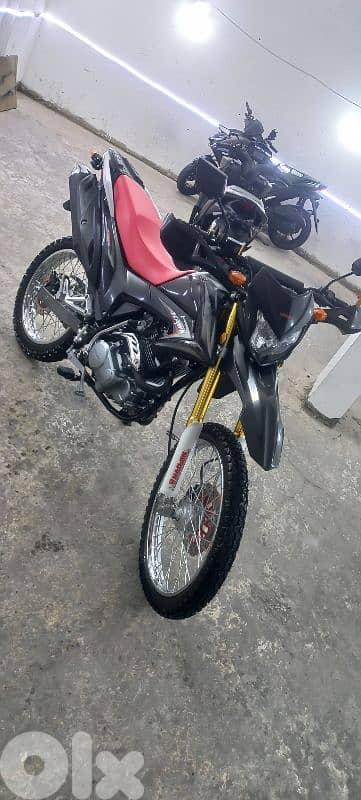 motorcycle 15