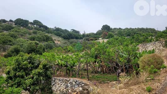12000m2 Prime land+sea view 4sale in Berbara-Jbeil - بربارة - جبيل 12000m2 Prime land+sea view 4sale in Berbara-Jbeil - بربارة - جبيل