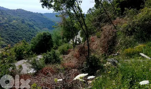 Land for sale in Kfoun , main road