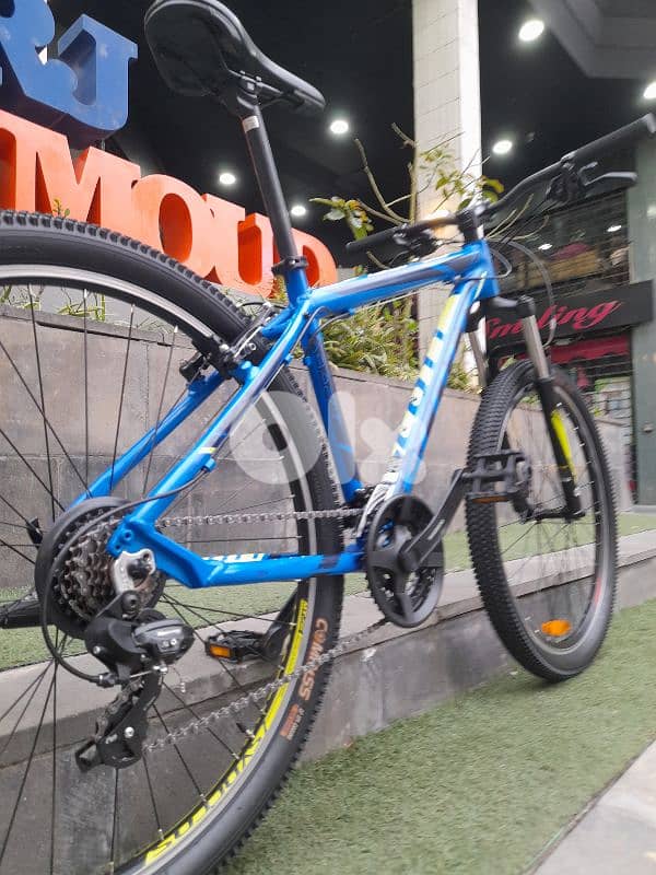 home bike 12