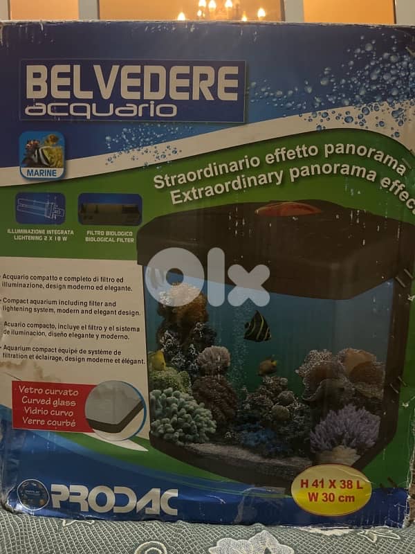 fish equarium 0