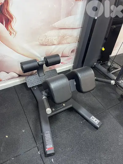 Back extension  best quality