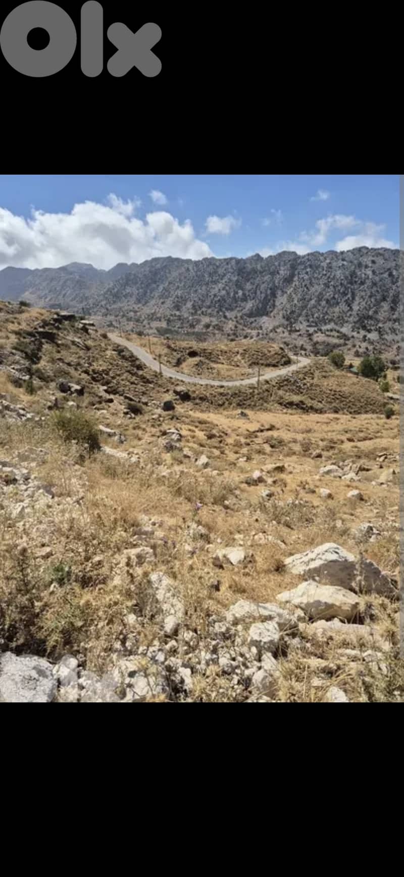 Land in Laqlouk for sale 0