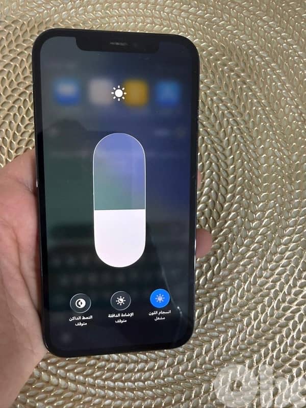 12 pro 2