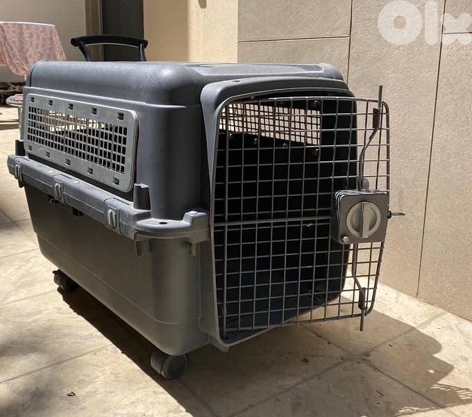 travel cage/crate 1