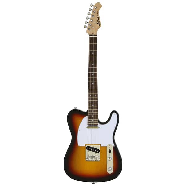 Aria TEG-002 Telecaster Electric Guitar (Multiple Colors Available) 2