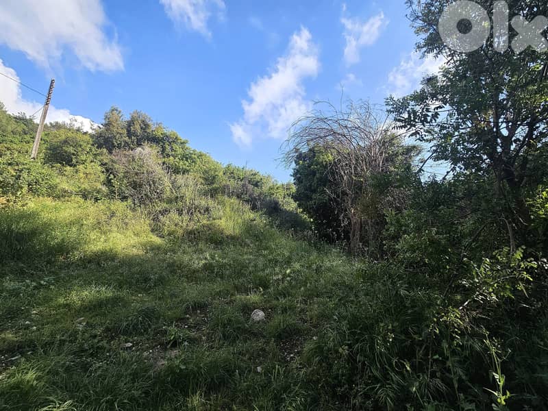 RWK151RH - Land for sale in safra 0