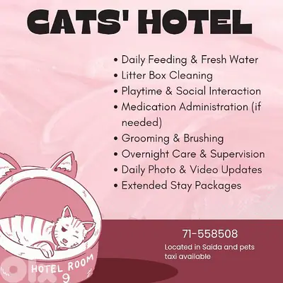 cats' hotel