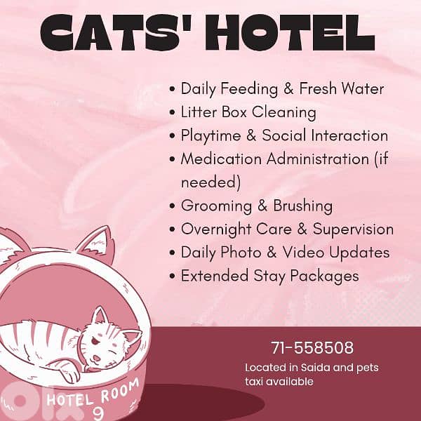 cats' hotel 0