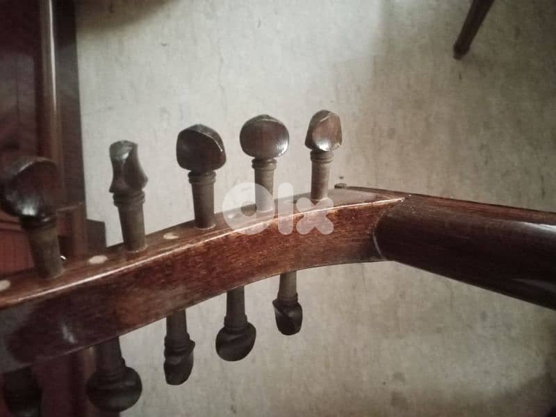 Oud for just 150 3