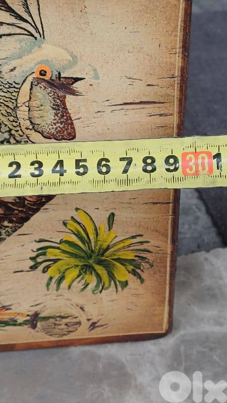 antique 11
