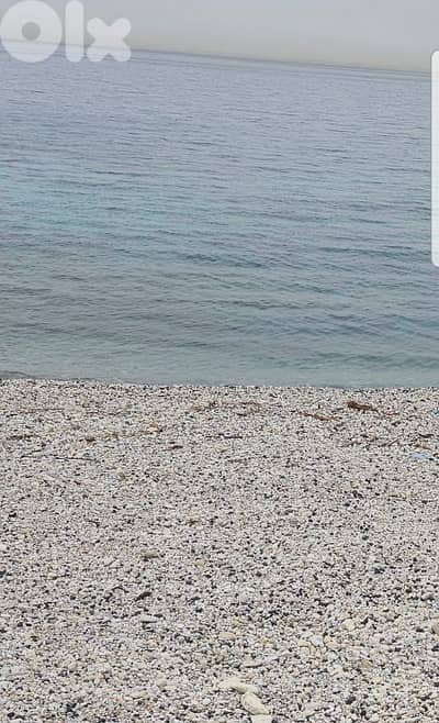 Land on the Beach أرض على شاطيء البحر