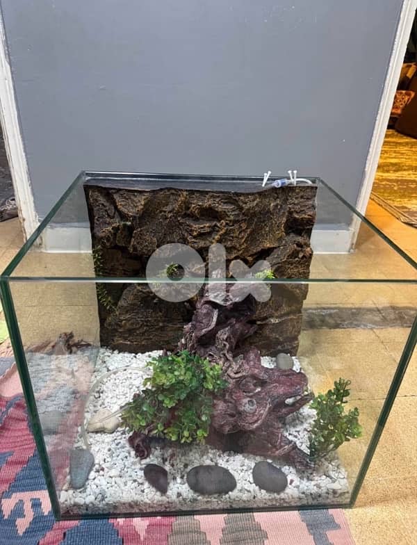 fish tank 4