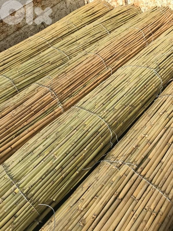 BAMBOO FOR SALE IN BEIRUT 3