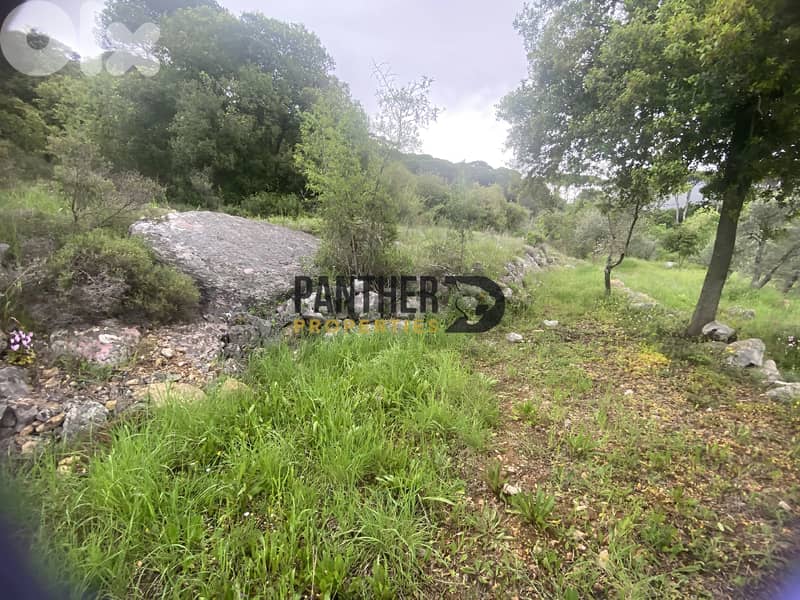 Prime Land for Sale in Aarabaniyeh - natural water spring Ref#BK133 0