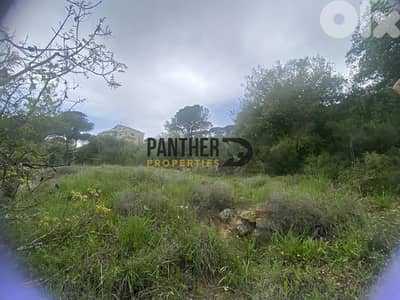 Prime Land for Sale in Aarabaniyeh - natural water spring Ref#BK133