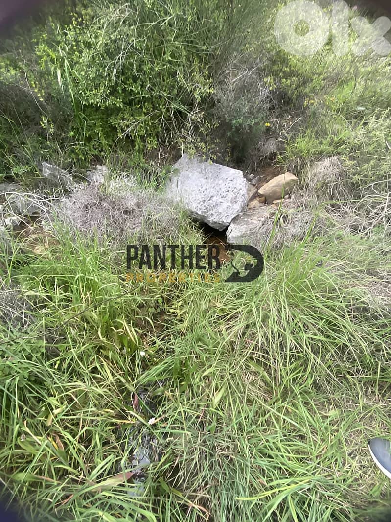 Prime Land for Sale in Aarabaniyeh - natural water spring Ref#BK133 2