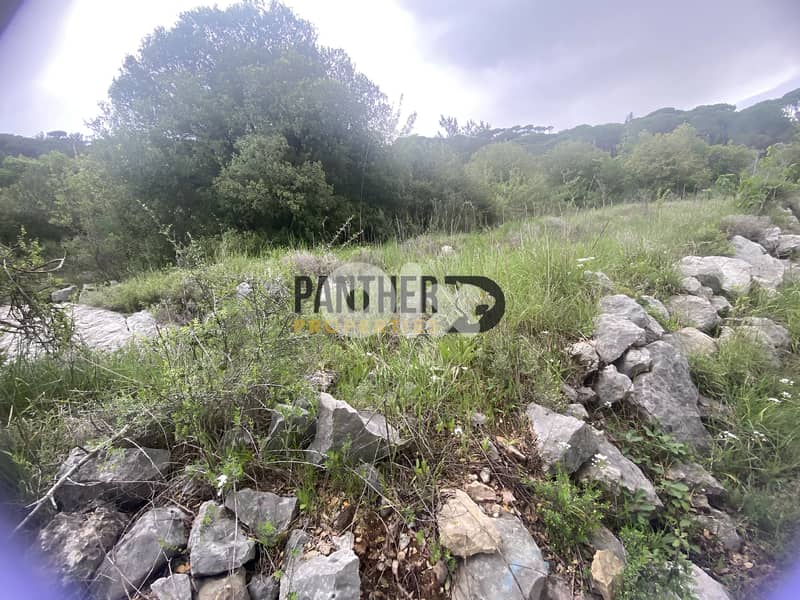 Prime Land for Sale in Aarabaniyeh - natural water spring Ref#BK133 3
